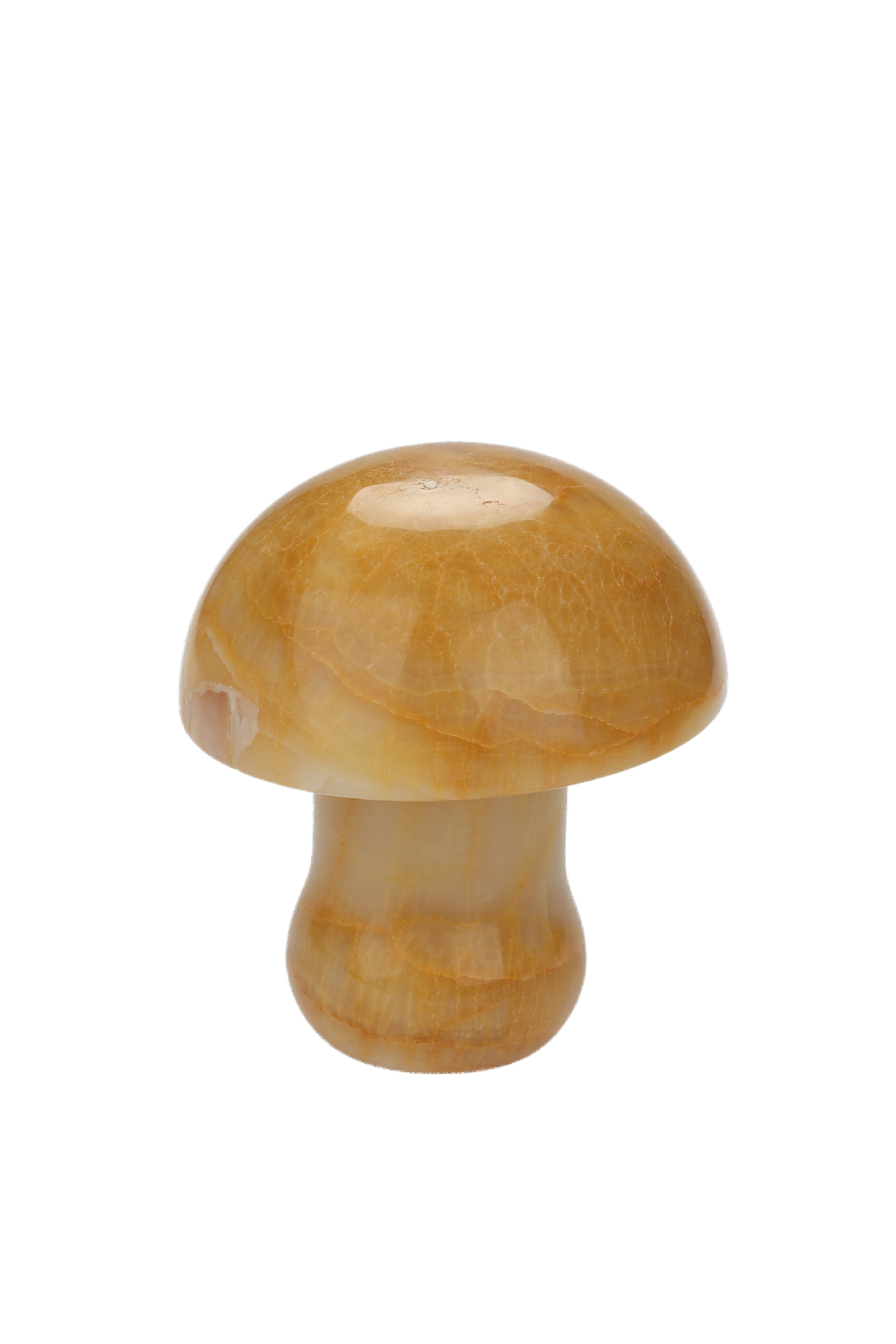 Mushroom head rechargeable desk lamp